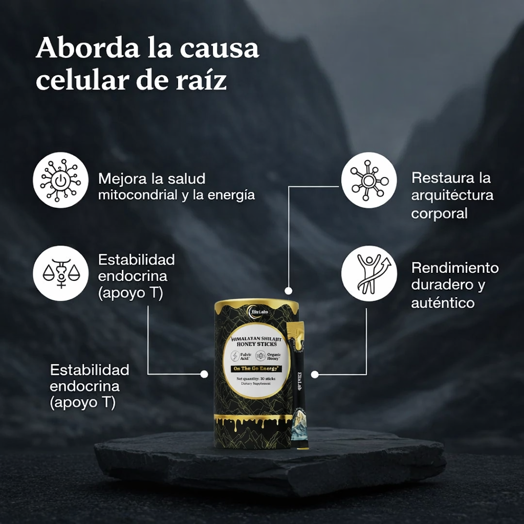 Barritas de miel dorada Shilajit del Himalaya puro